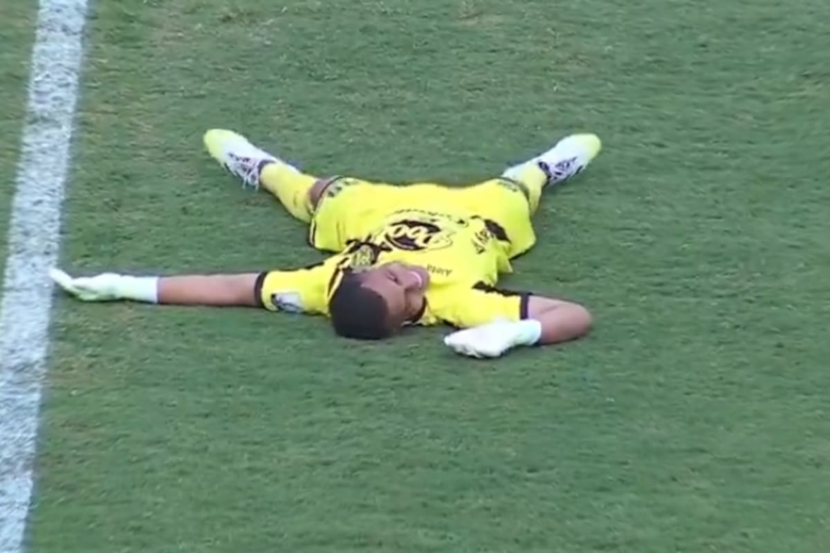 Video: jugadores se tiran al piso por invasión de abejas