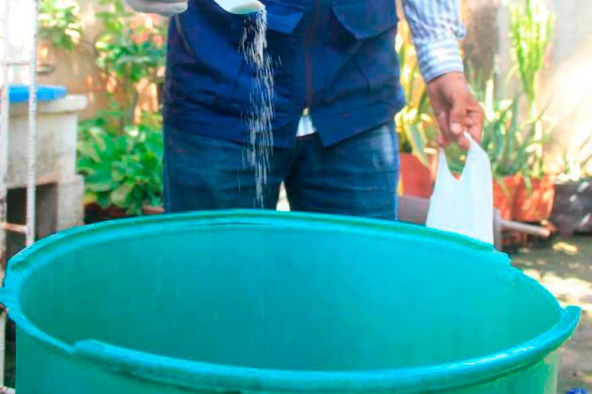 Cartagena, la segunda ciudad con más casos de dengue en el país