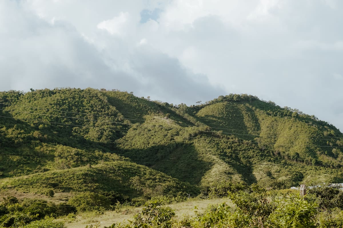 Montes de María: el territorio biodiverso donde florece la cultura caribeña
