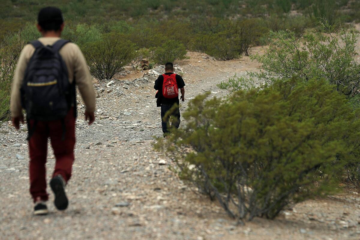 Migrantes cruzan el desierto por operativos en la frontera México - EE. UU.