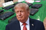 Donald Trump mantiene descertificación a Colombia por lucha contra las drogas