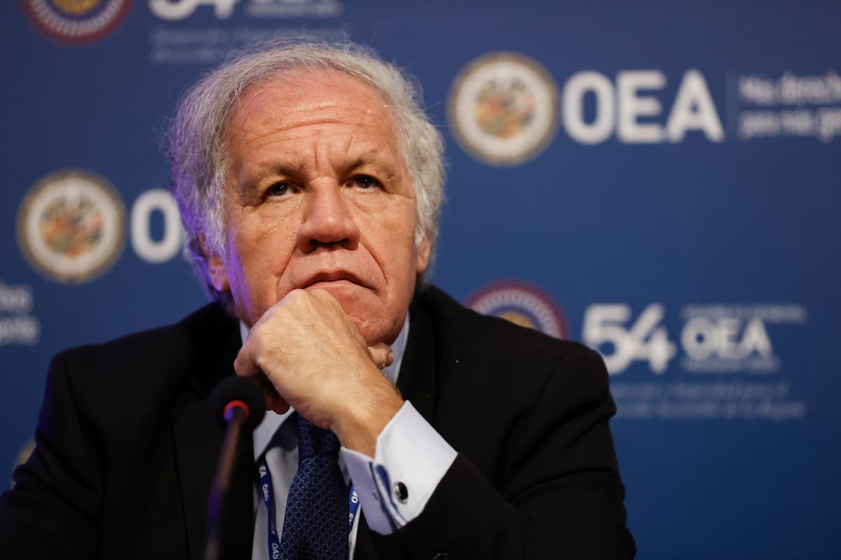 Luis Almagro. secretario general de la OEA, // EFE.