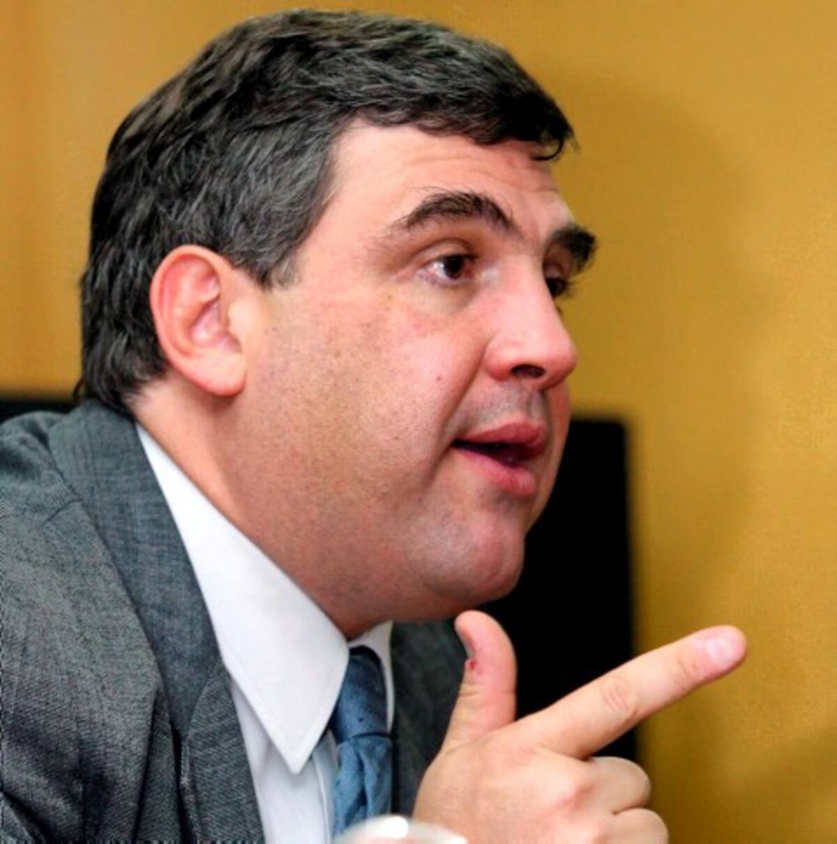 Luis Ernesto Mejía, fórmula vicepresdiencial de Noemí Sanín.