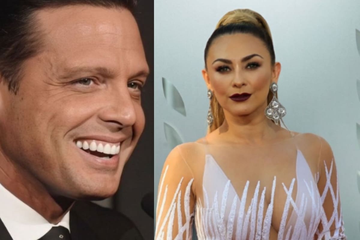 Filtran fotos del hijo mayor de Luis Miguel y Aracely Arámbula tras años oculto