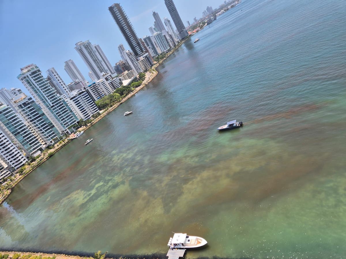 Revelan origen de la extraña mancha en Castillogrande en Cartagena. // Foto: Cortesía.