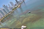Autoridades revelan la causa de la extraña mancha en la bahía de Castillogrande