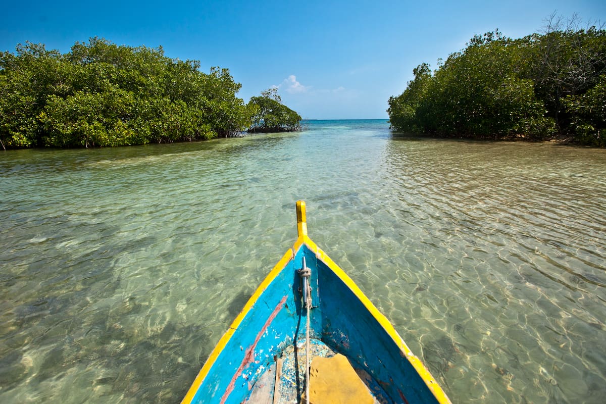 El ecoturismo en Bolívar es una de las actividades predilectas de los visitantes // Pixabay.