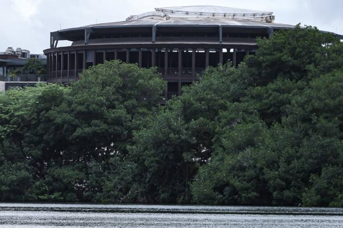 Buscan convertir a Cartagena en un ‘hub’ de la Alianza de Manglares
