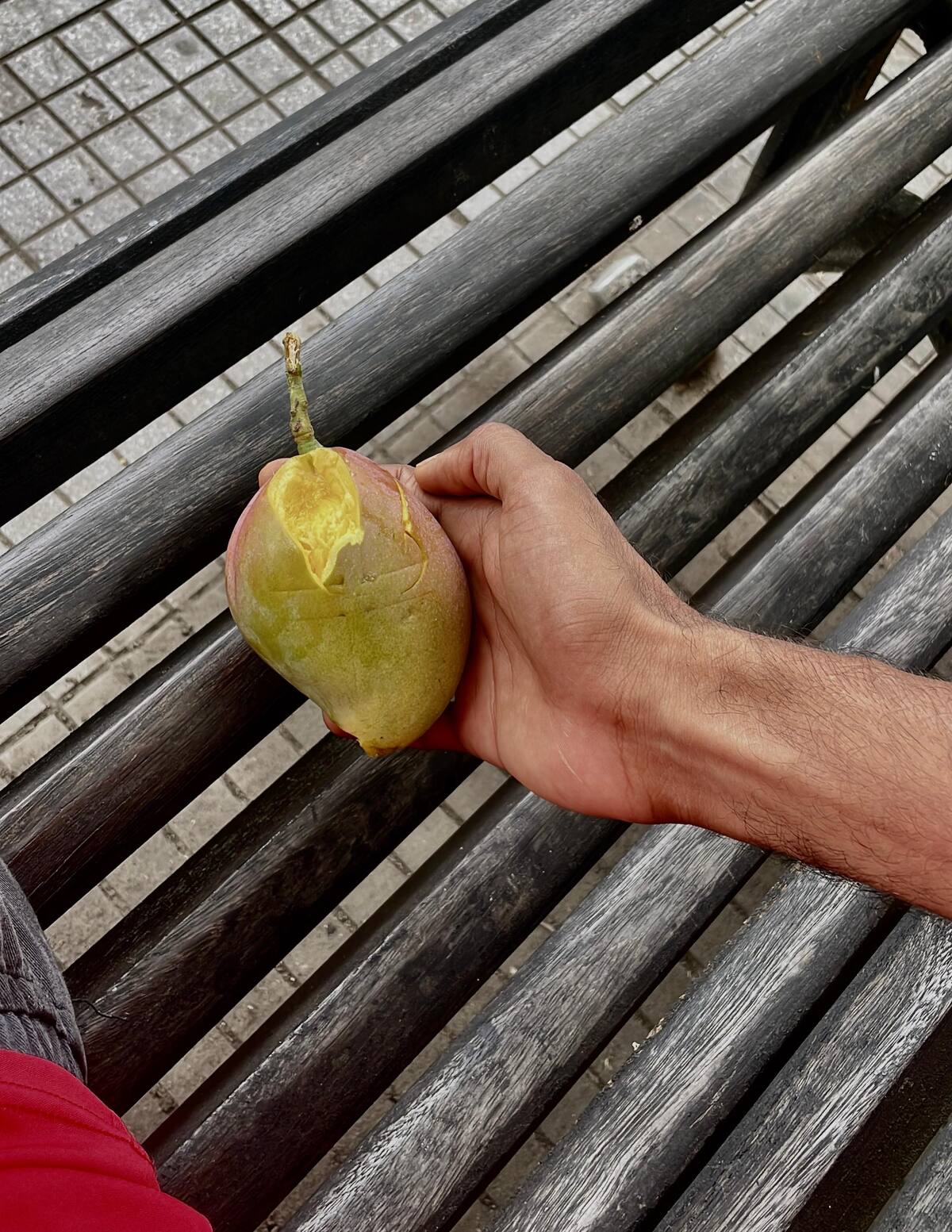 Un mango jugoso cayó de uno de los árboles.