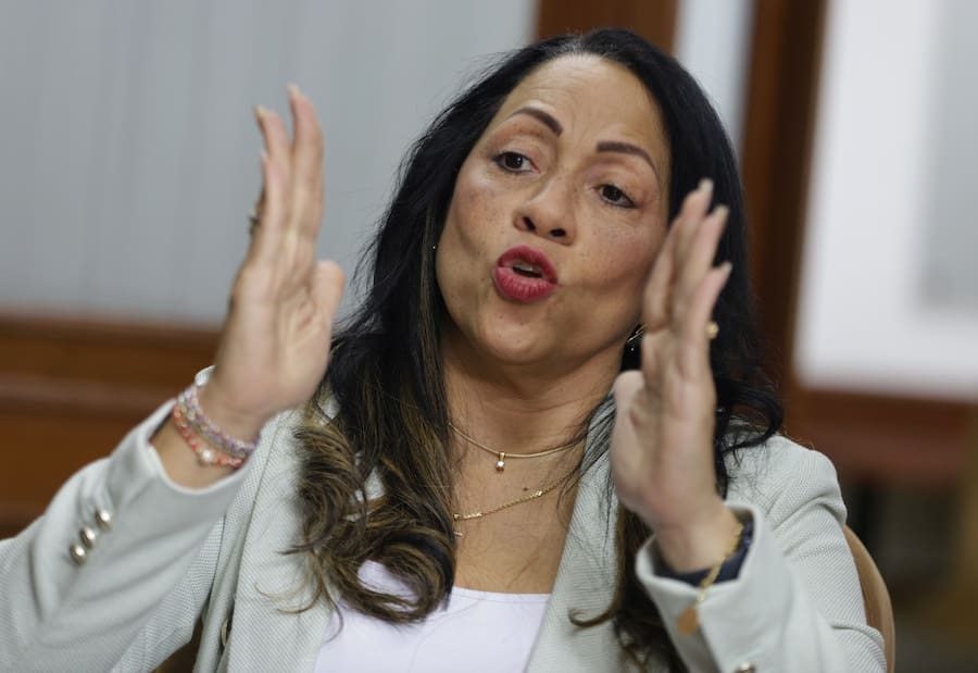 CNE revoca candidatura de Marelen Castillo en la lista del Centro Democrático