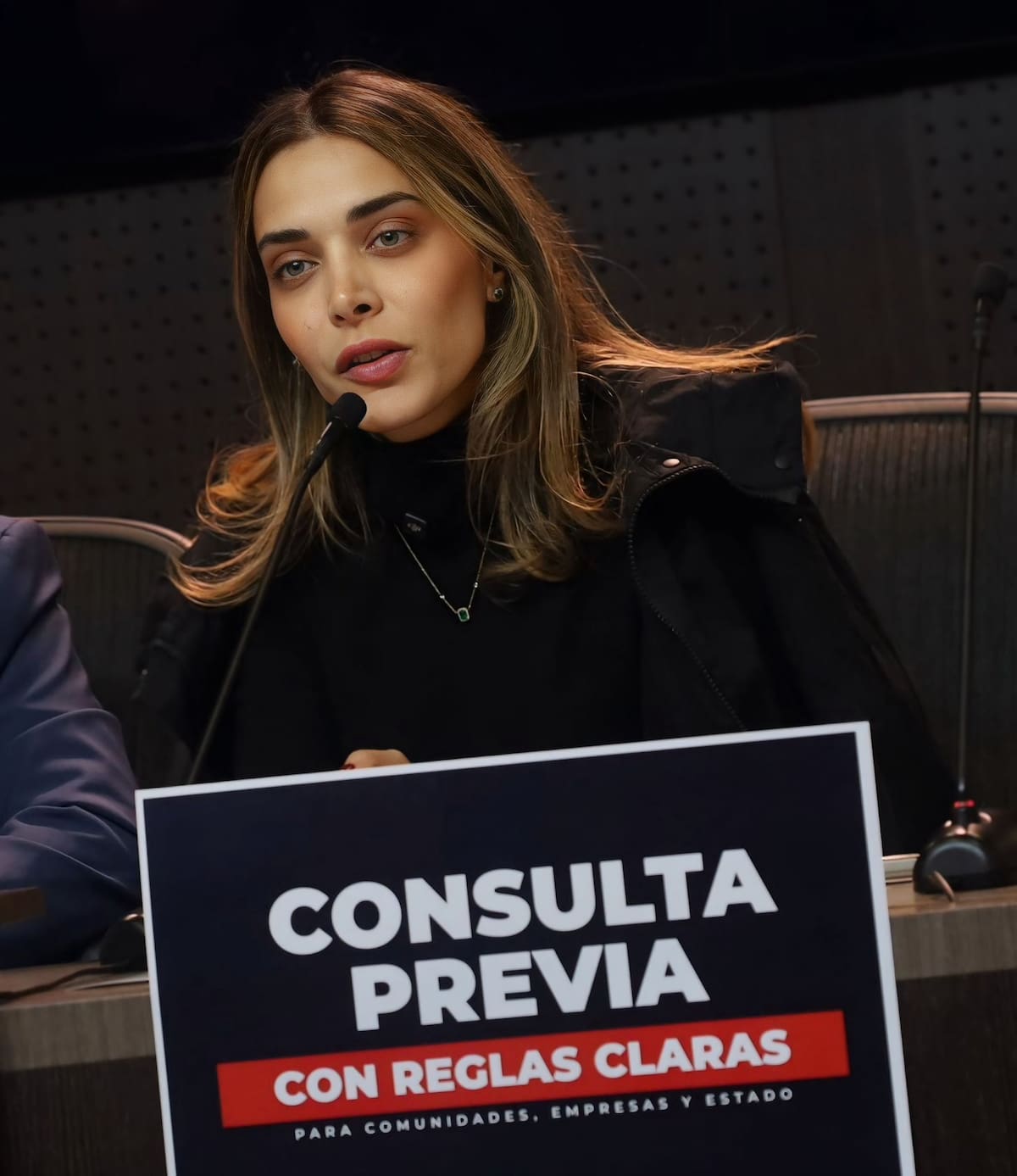 La senadora del Centro Democrático, María Clara Posada, plantea revisar sentencias de la Jurisdicción Especial para la Paz (JEP) y recortar gastos. // Foto: Prensa María Clara Posada.