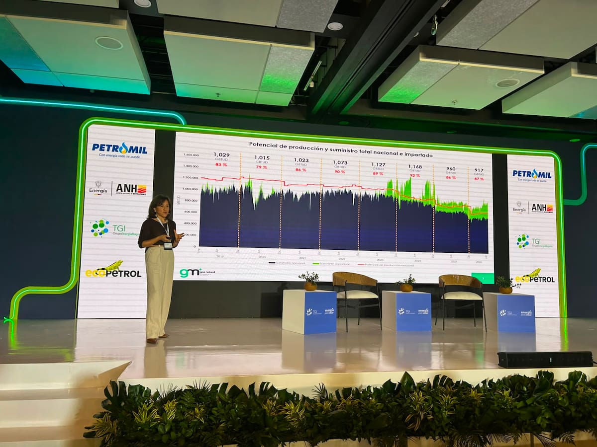 María Claudia Alzate, directora del Gestor del Mercado de Gas. // Julie González - El Universal