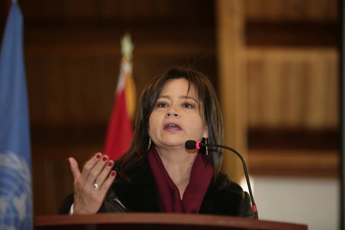La ministra de Transporte, María Fernanda Rojas. // Foto: Colprensa