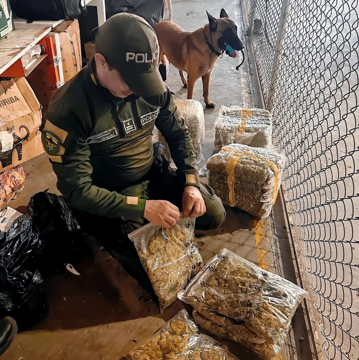 Uniformados encontraron 17,6 kilos de marihuana ocultos en una encomienda que llegó a Cartagena procedente de Norte de Santander. //FOTO: POLICÍA MECAR.
