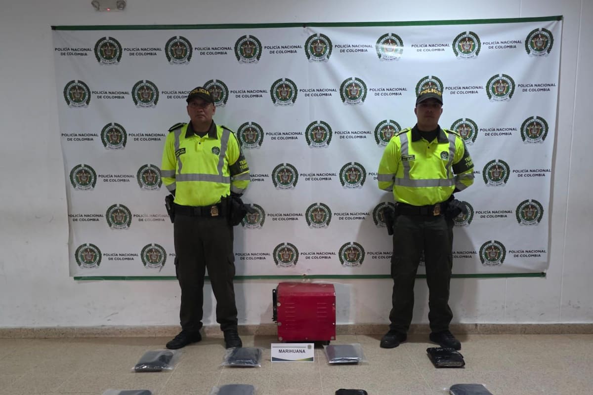 Incautan 12 kilos de marihuana oculta dentro de tractocamión: detalles del operativo