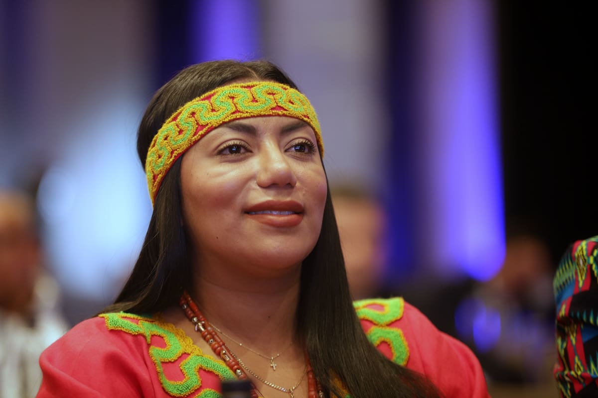 Martha Peralta Epieyú, senadora del Pacto Histórico. // Colprensa - Álvaro Tavera.