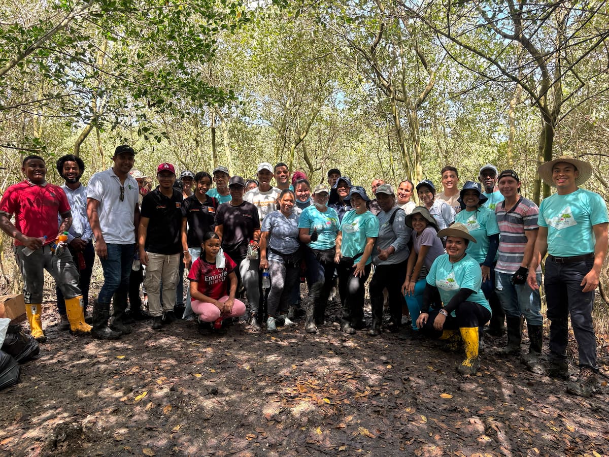 Más de 2.000 mangles fueron sembrados durante la Semana del Manglar en Cartagena. // cortesía: comunidad de la Ciénaga de la Virgen