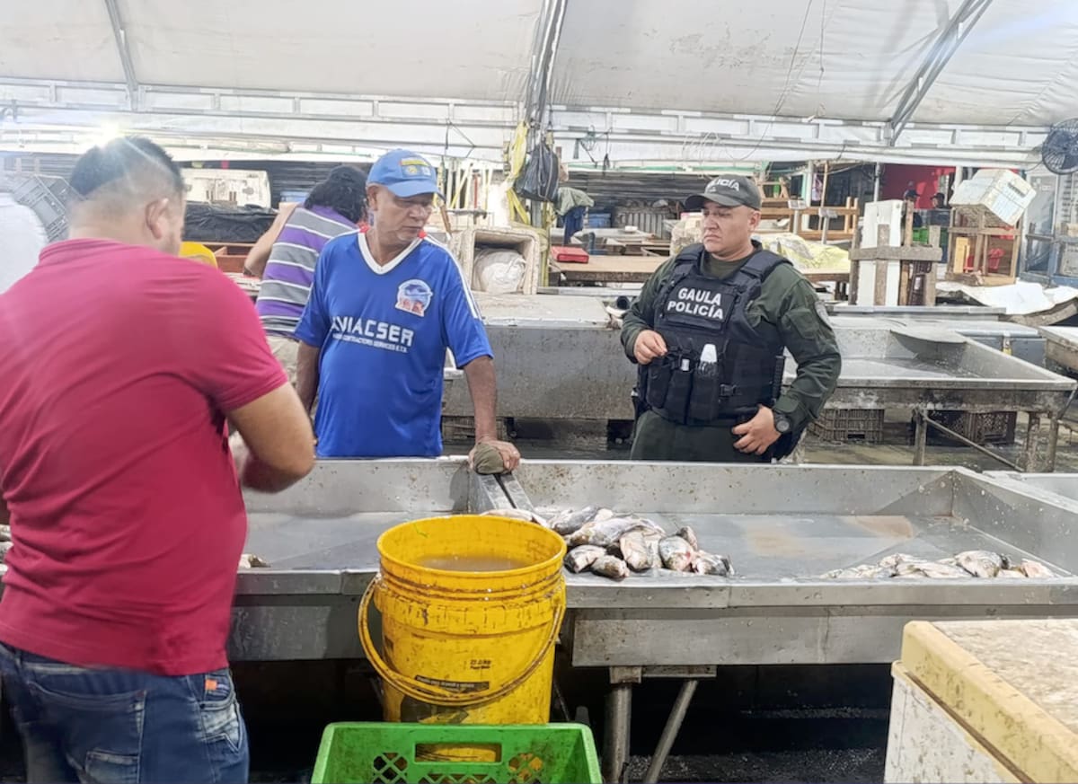 Los operativos conjuntos de Policía Nacional y Ejército Nacional han permitido que la Megazona Segura en el sector de Barranquillita esté dando resultados favorables.// Cortesía Alcaldía de Barranquilla.