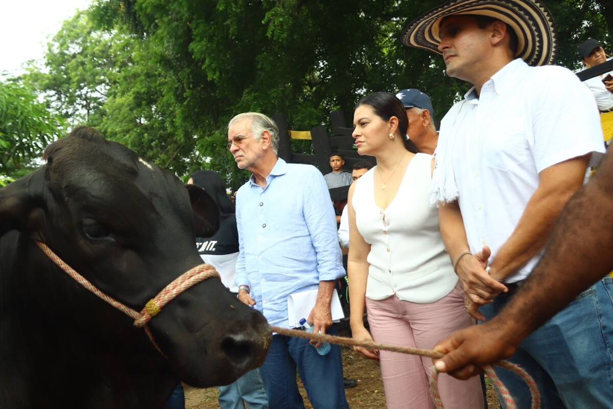 La ganadería del Atlántico se revoluciona con embriones de alta genética