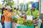 Este domingo hay feria campesina en Las Gaviotas: conozca qué ofrece Merca Bolívar