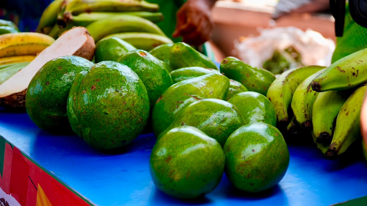 Merca Bolívar: Ventas superaron US$100 millones. // Foto: cortesía - Gobernación de Bolívar