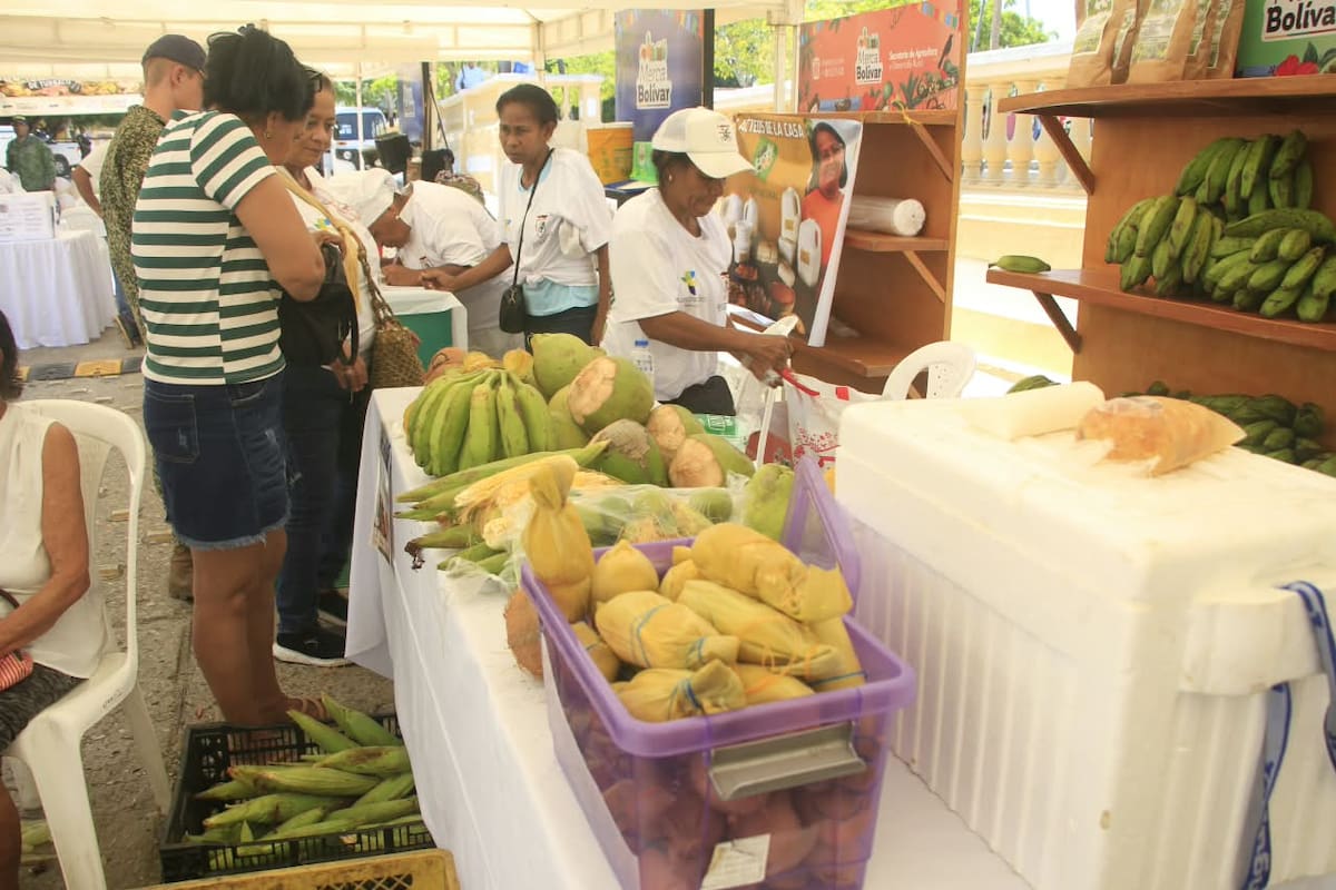 El Mercado Campesino en Turbaco fue organizado por la Alcaldía y la Unidad Municipal de Asistencia Técnica Agropecuaria (Umata), con apoyo de la Gobernación de Bolívar, la Cámara de Comercio de Cartagena y la Armada Nacional. // Foto: Julio Castaño.