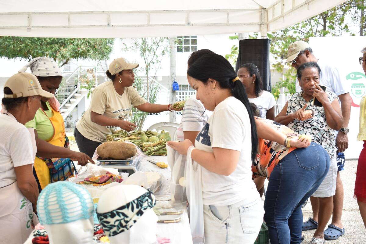 En las tres jornadas participaron más de 30 productores, quienes ofrecieron una amplia variedad de alimentos como huevos, yuca, ñame, limón, naranjas, pomelo, popocho, berenjena, plátano, ahuyama, entre otros. // Foto: Cortesía - Alcaldía de Cartagena.