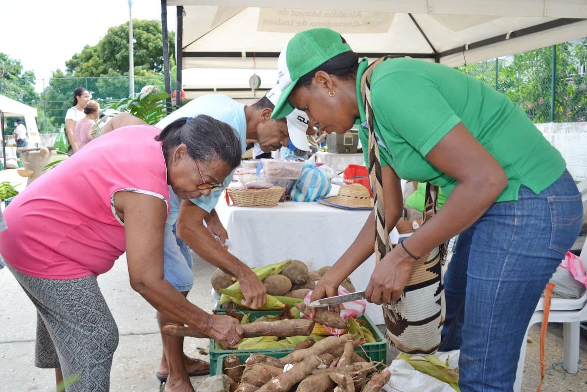 Los Calamares, Buenos Aires y Olaya Herrera sede Central, serán los barrios donde se realizará el mercado campesino el sábado 28 de marzo de 2026. // Foto: Cortesía - Alcaldía de Cartagena.