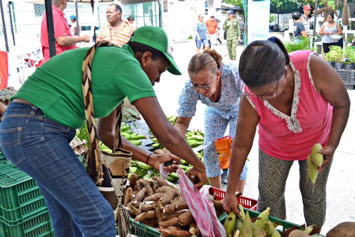 Anuncian 3 mercados campesinos en Cartagena: Fecha, horario y barrios