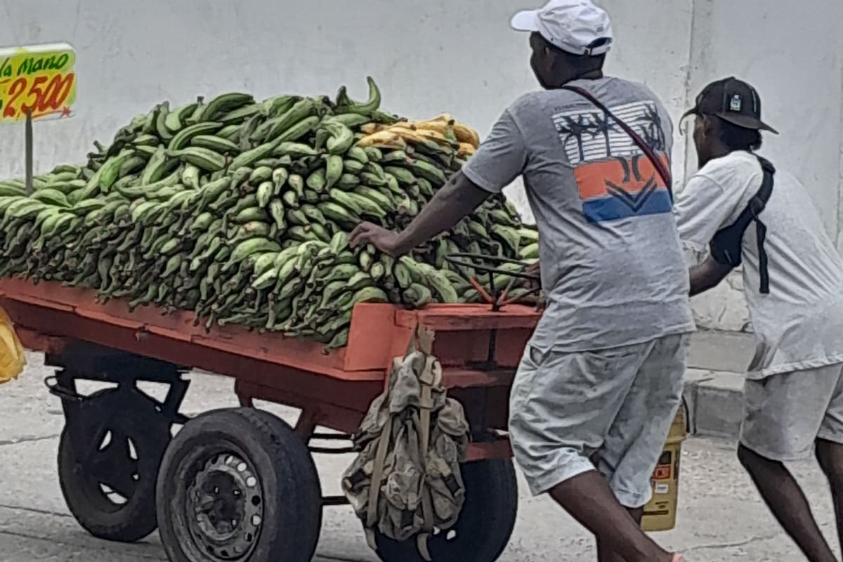 Desempleo: La mayoría de los ocupados en Cartagena son ‘Cuenta propia’