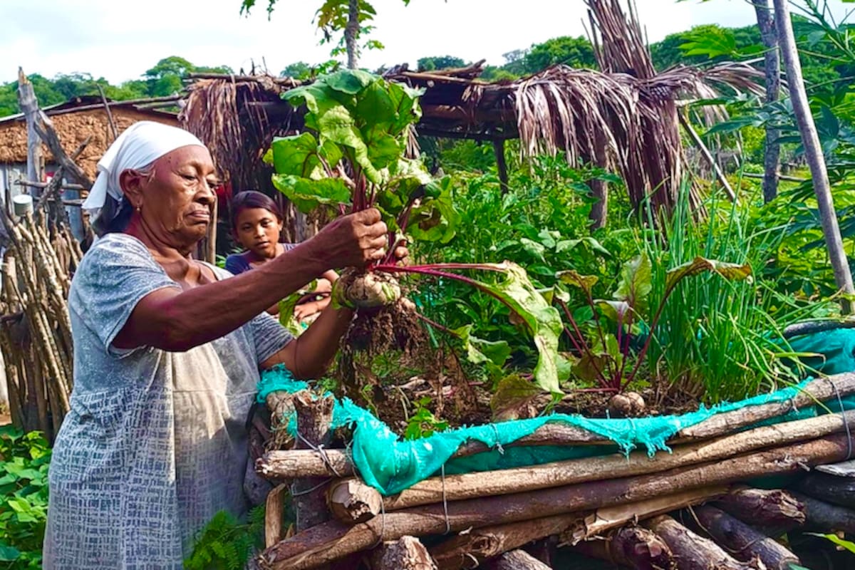 Mes Mundial de la Agricultura: más de 7.000 personas impactadas en La Guajira