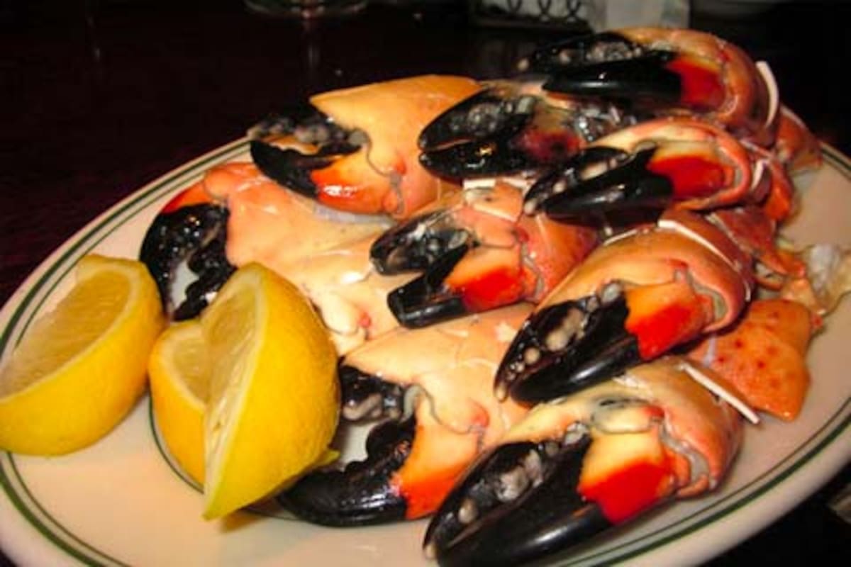 Los Stone Crab es una de las comidas tradicionales de esta ciudad // Viajarmiami.com