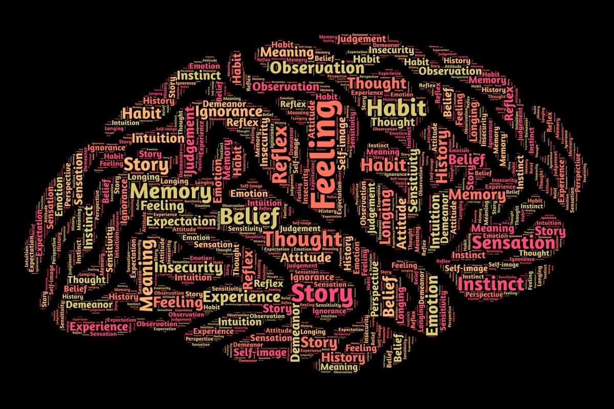 Si las inteligencias aprenden, es gracias a que tú les estás enseñando