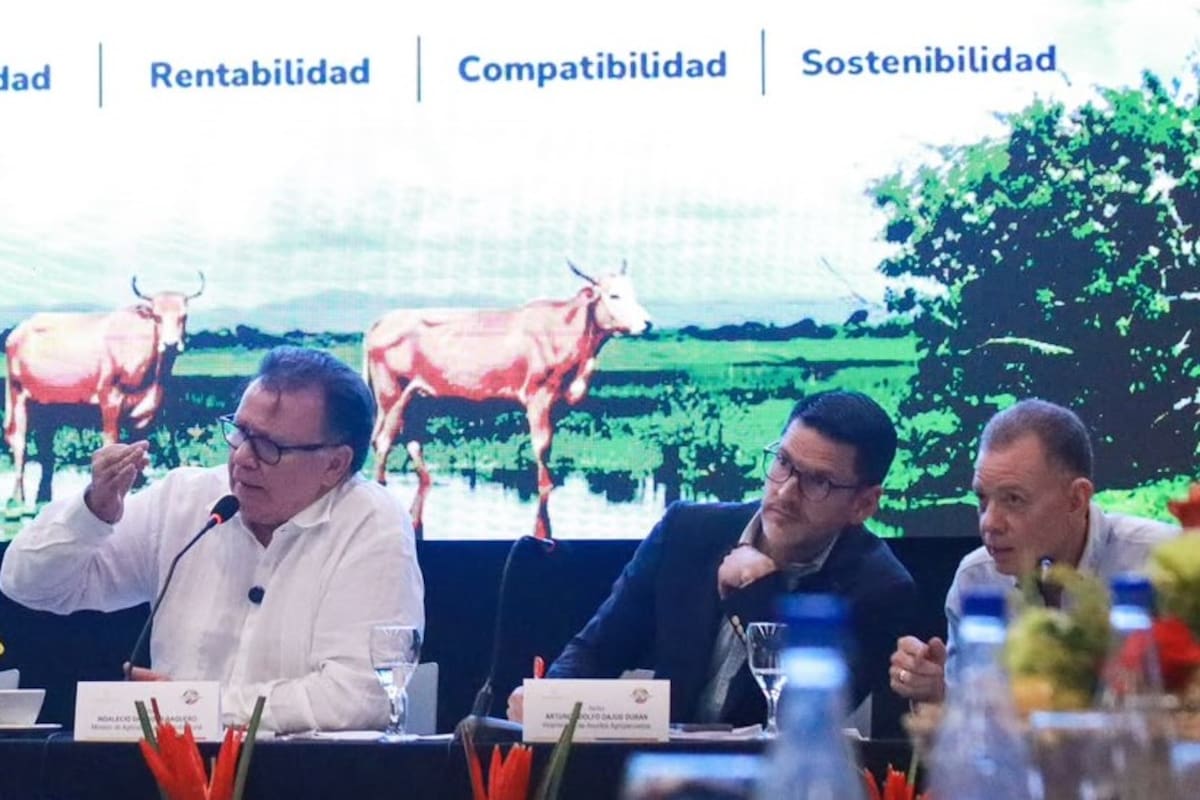Minagricultura implementará plan de choque por fenómeno de El Niño