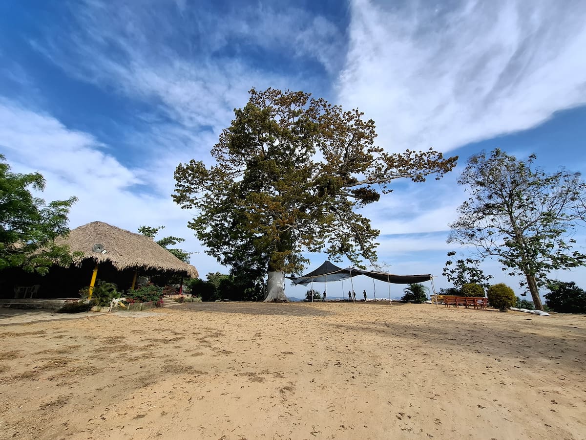 En la parte más alta de El Carmen de Bolívar está el mirador La Ceiba, en La Cansona. // Cortesía