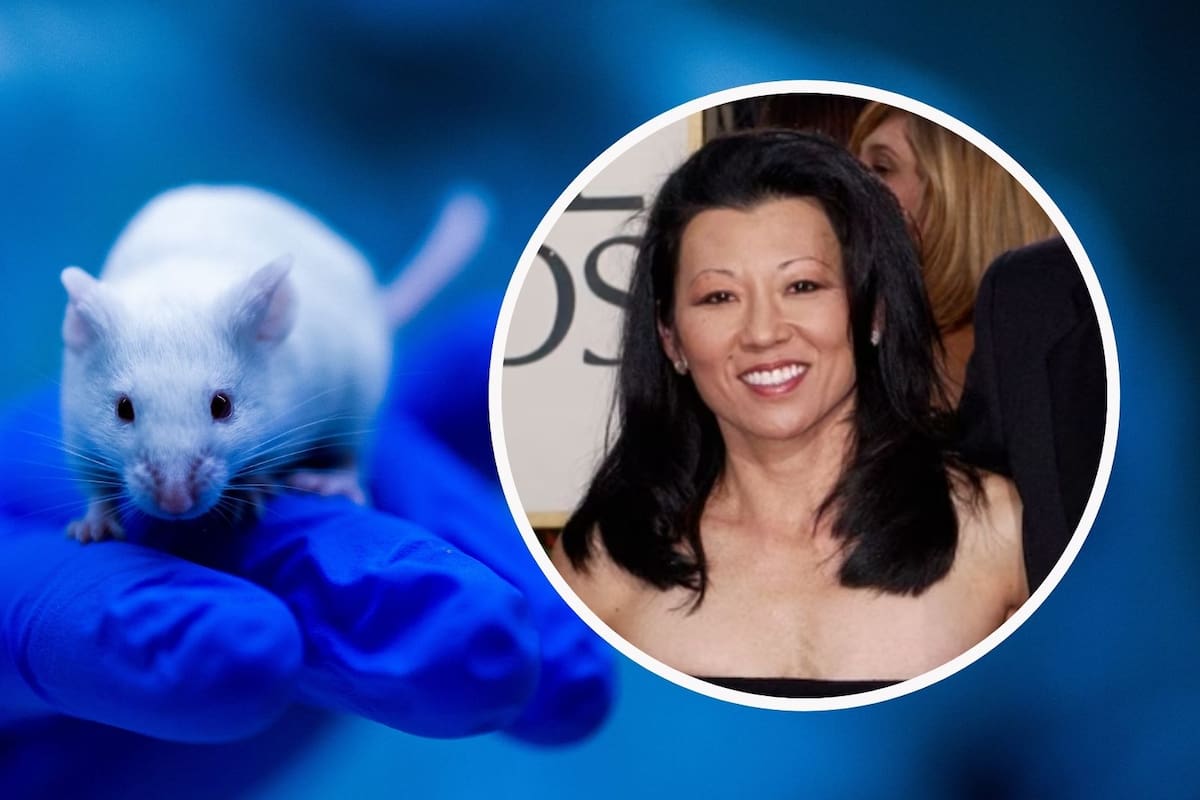 Esposa de actor de Hollywood falleció por Hantavirus tras exposición a roedores