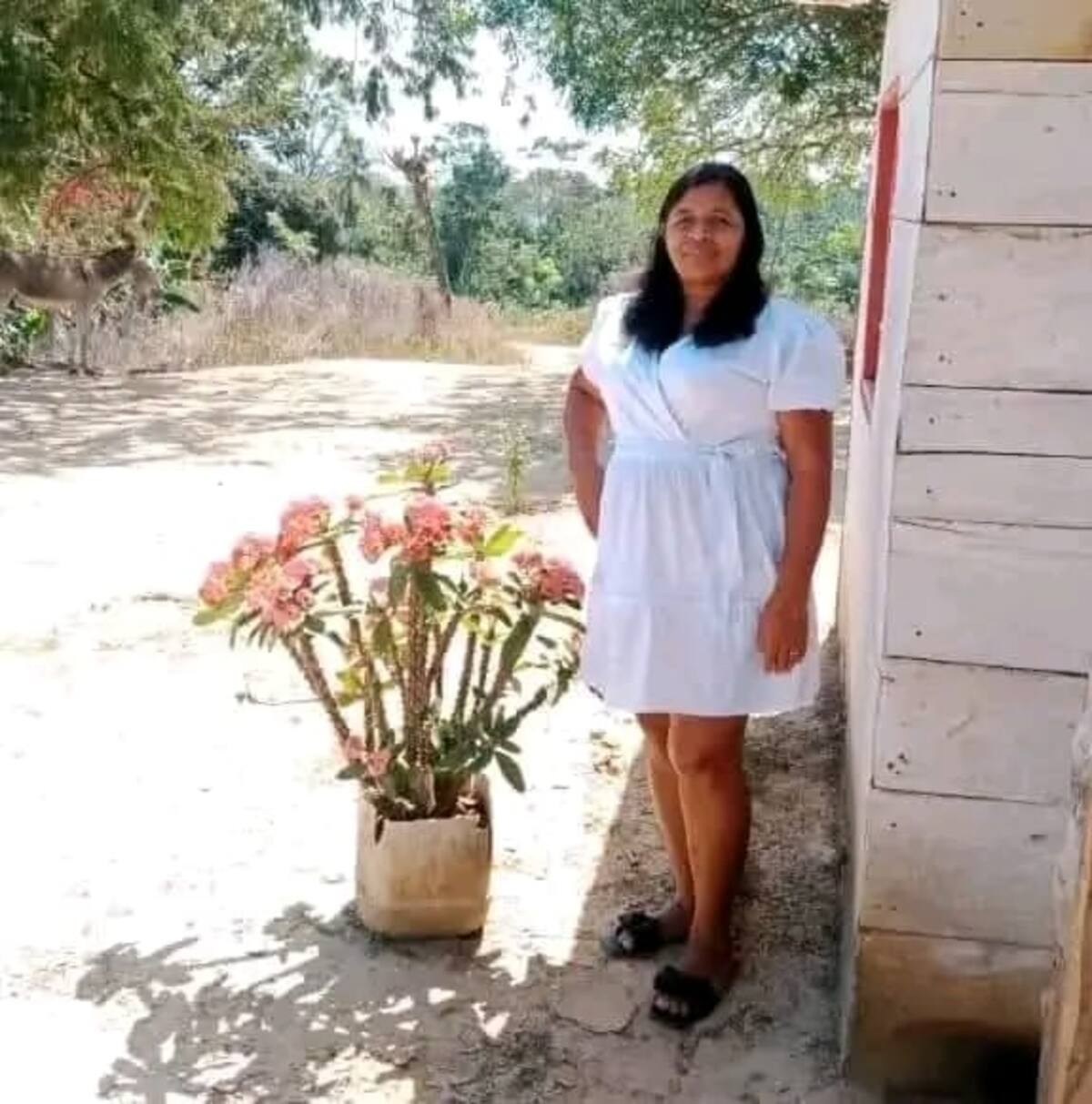 Mujer murió al intentar salvar a su nieto de 10 años, en Barranquilla.