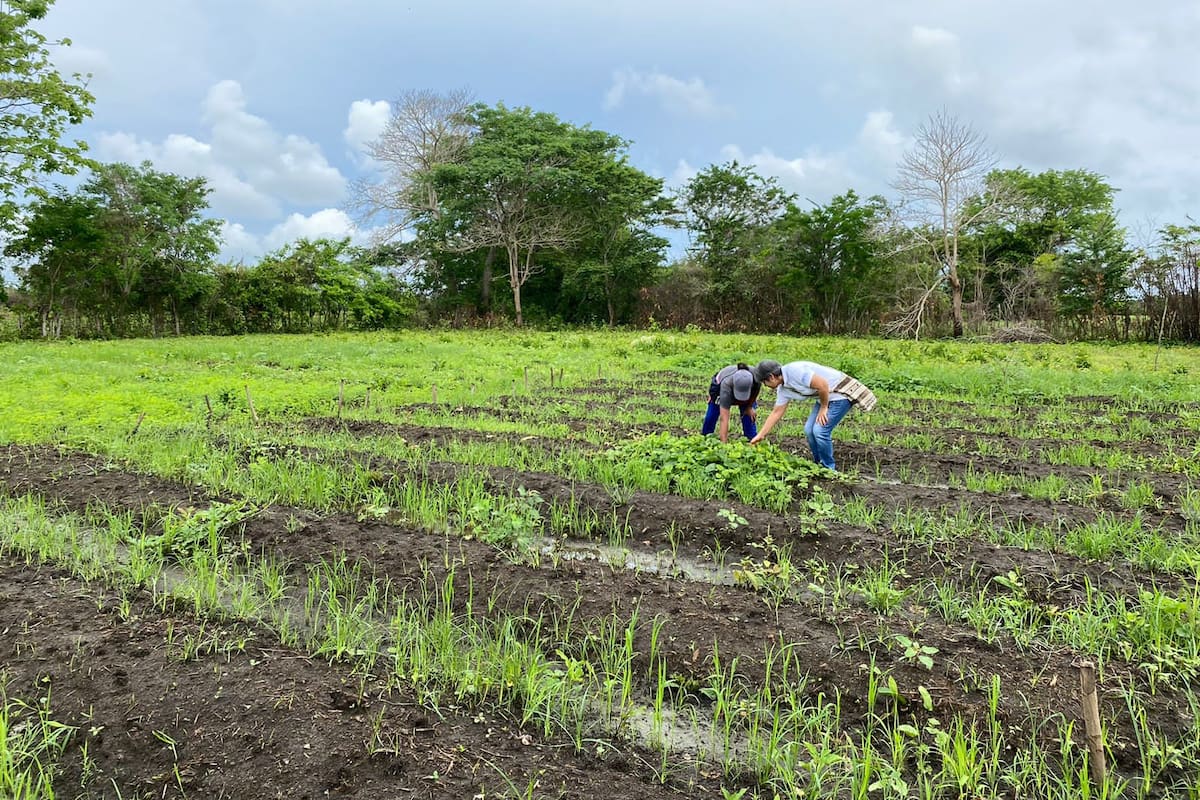 Más de 1.700 mujeres en Cartagena tendrán extensión agropecuaria