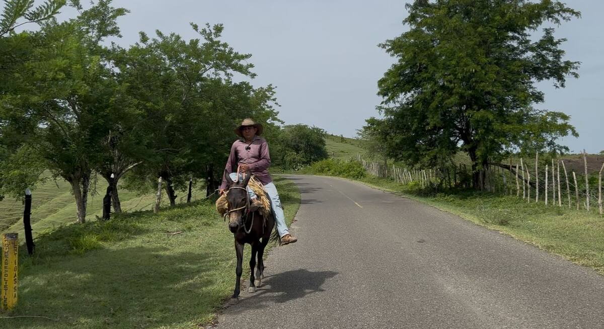 Carretera en el municipio de El Guamo, Bolívar
