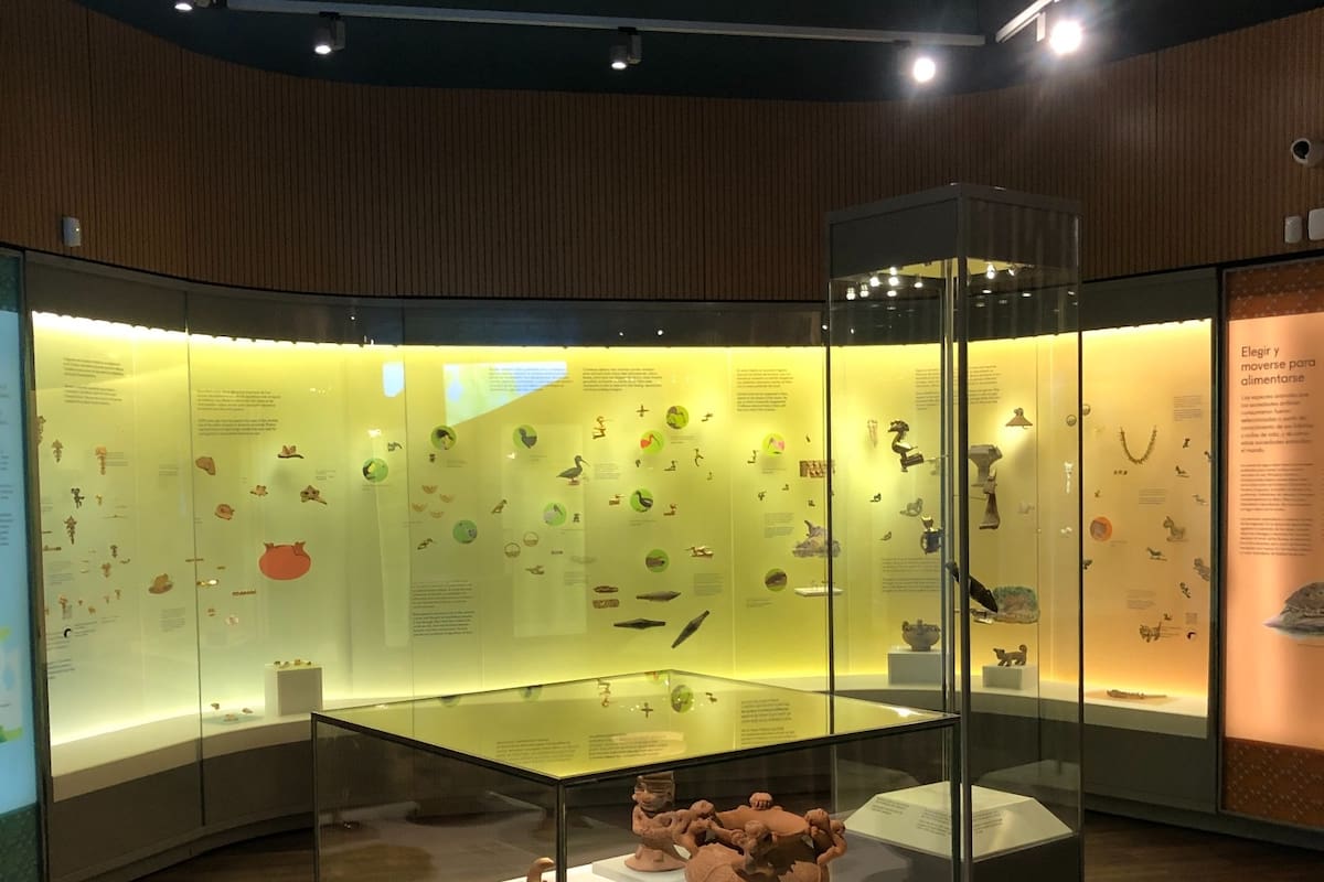 Circuito de Arte de Cartagena abre convocatoria para artistas plásticos y visuales