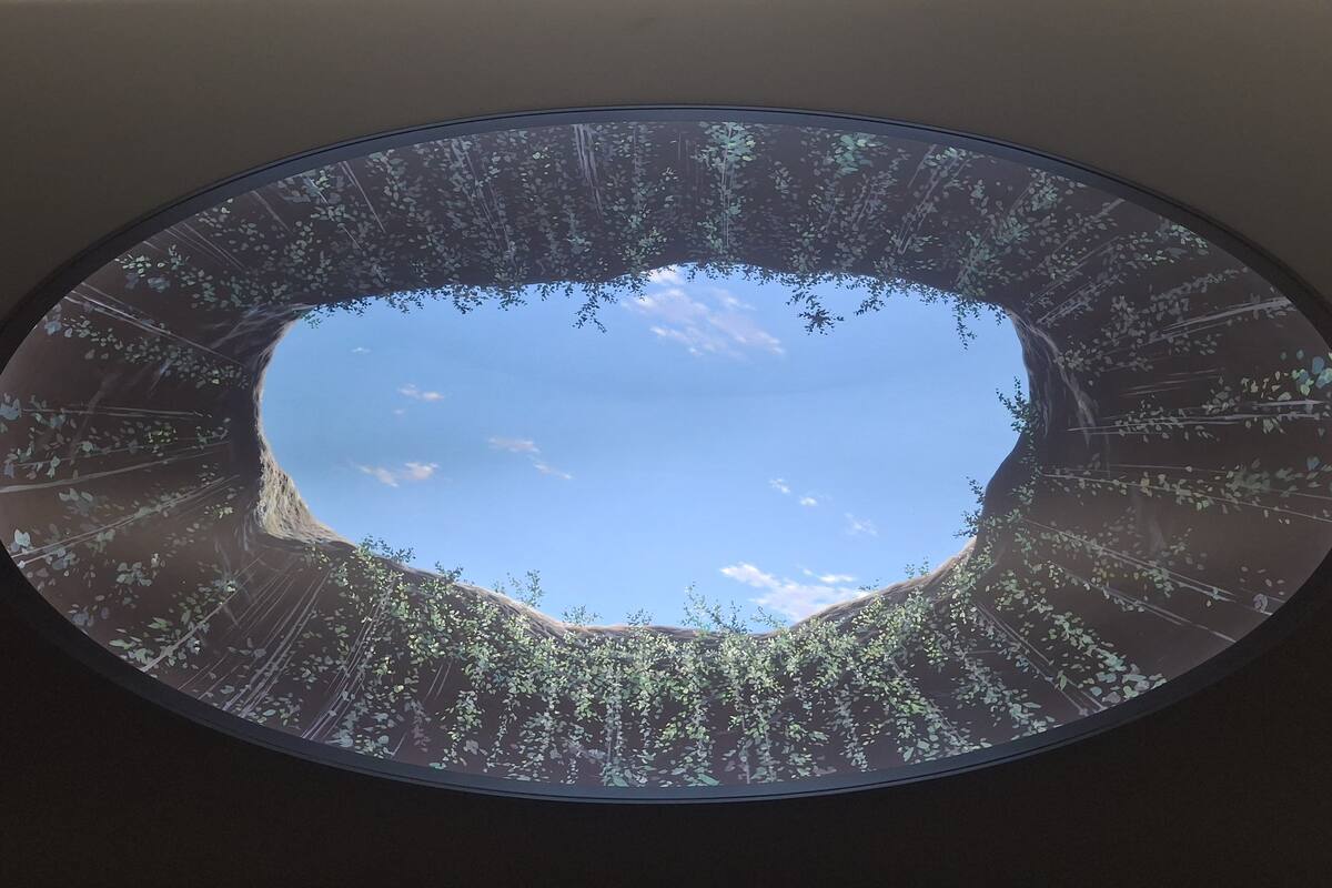 Desde El Carmen de Bolívar, Nadir Figueroa transforma Barranquilla con su arte
