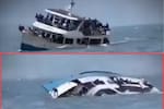Sube a 92 la cifra de víctimas por el devastador naufragio en el lago Kariba
