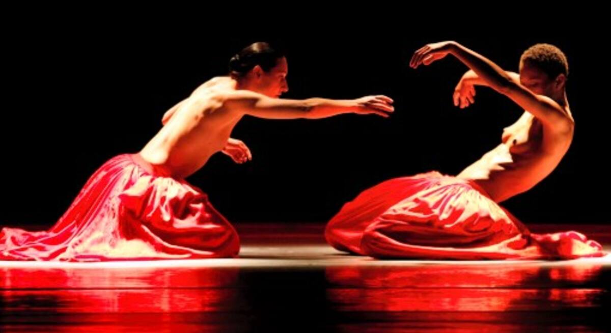 Nederlands Dans Theater I es una de las compañías más reconocidas de la escena dancística internacional. COLPRENSA