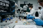 Alerta por droga que es mil veces más potente que el fentanilo: ¿cuál es?