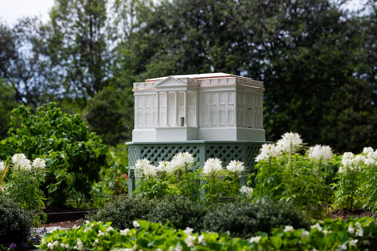 Fotografía cedida por La Casa Blanca que muestra una colmena modelada a semejanza de la Casa Blanca, instalada en el Jardín Sur de la Casa Blanca, en Washington (Estados Unidos). EFE/Andrea Hanks/La Casa Blanca