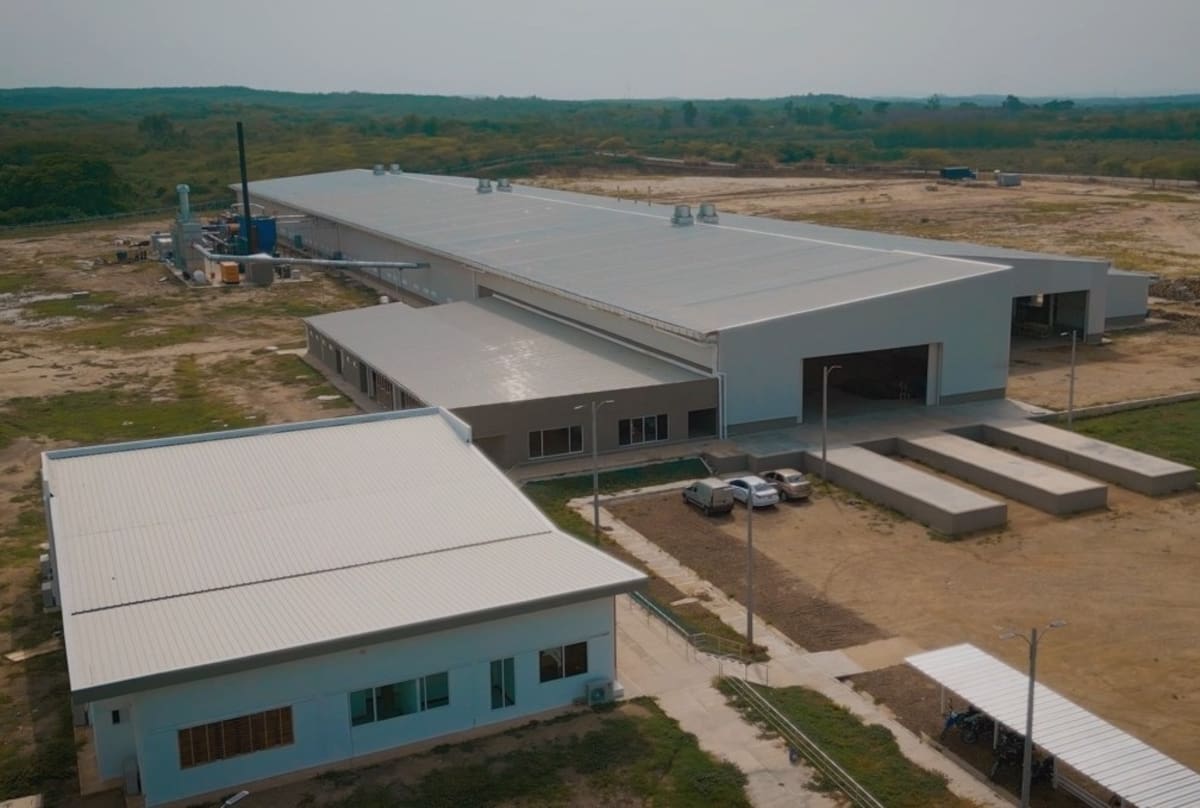 Planta de madera contrachapada y reforestada, en Zambrano, Bolívar. //Cortesía