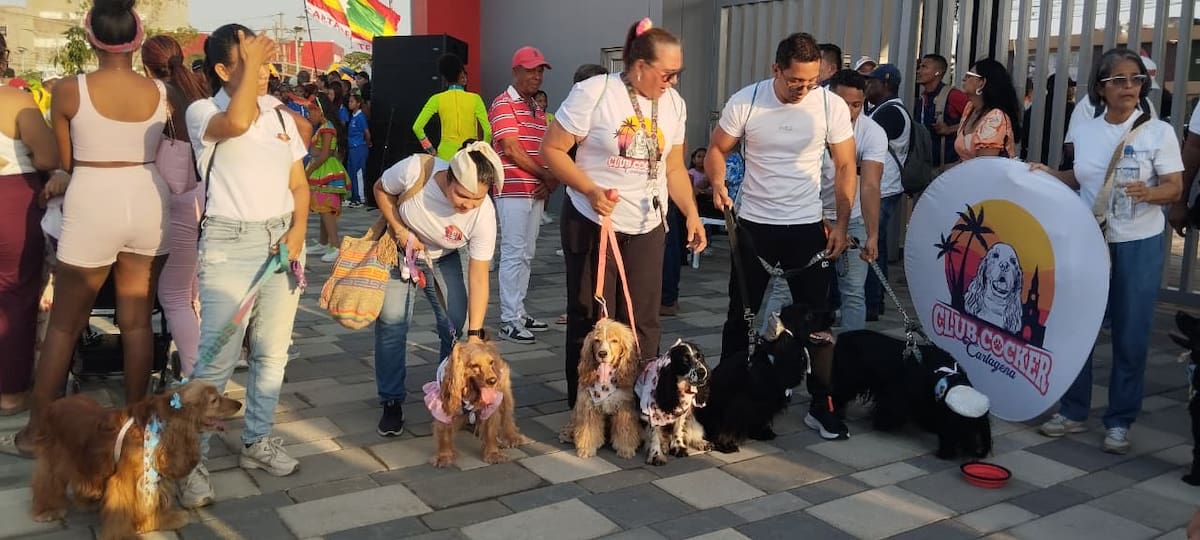 El sector de Ligas Menores del Nuevo Chambacú tiene un espacio para las mascotas. // Foto: Óscar Díaz.
