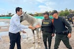 Nuevo Chambacú: más de 120 caballos fueron jubilados tras el cambio a carrozas eléctricas