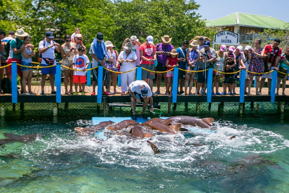visitas al Oceanario Islas del Rosario // Foto: El Universal