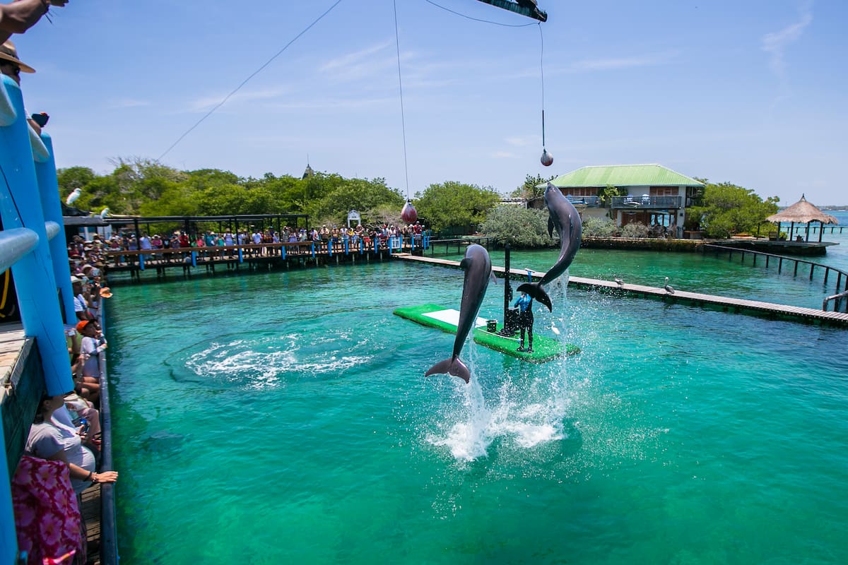 Show de delfines en el Oceanario Islas del Rosario. Foros EU.